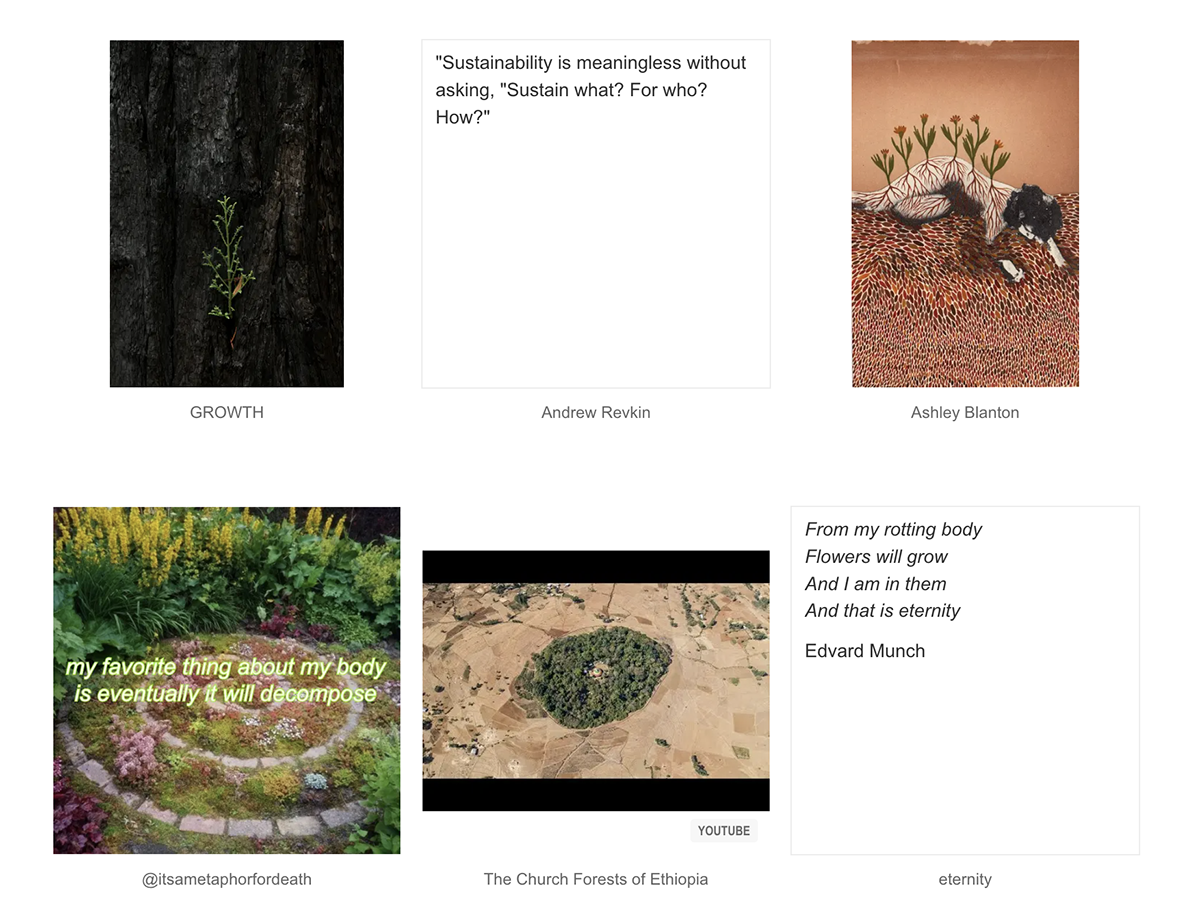 Screenshot of my cosmoecology channel on Arena
